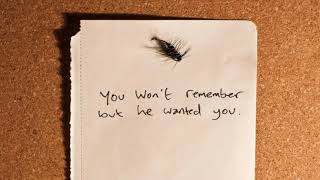 Bibio - You Won&#39;t Remember (Eagles &amp; Butterflies Edit)