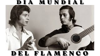 GRANAÍNA "REFLEJO DE LUNA COMPLETO" PACO DE LUCÍA + TABS + CURSOS + COMUNIDAD Y MÁS REGALOS…