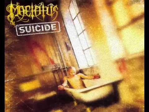 Language Of Disloyalty video thumbnail