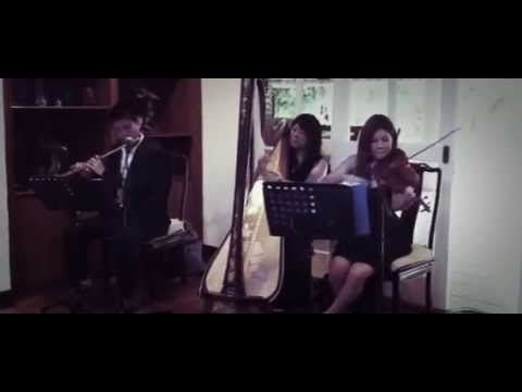 Promotional video thumbnail 7 for Blue Forest Strings