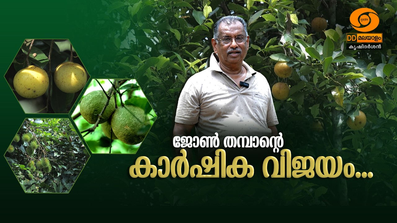 ജോൺ തമ്പാന്റെ കാർഷിക വിജയം | John Thampan's agricultural success