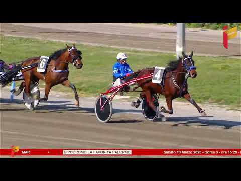 III Corsa del 18 marzo 2023 - 3 Anni - Metri 1600 - Gentlemen