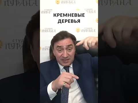 Кремневые деревья