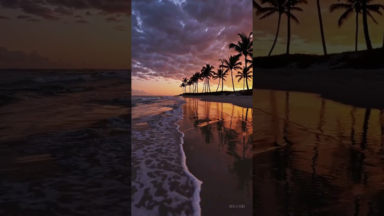 Sunset Serenity on Beach