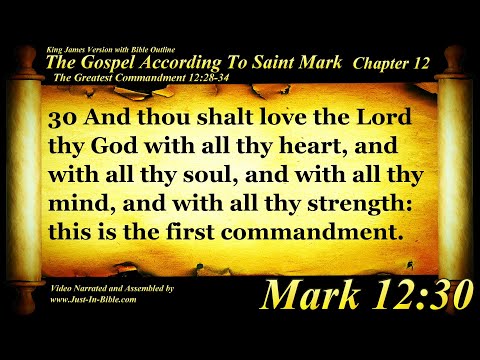Gospel of Mark Chapter 12 - Bible Book #41 - The Holy Bible KJV HD Audio-Text Read Along