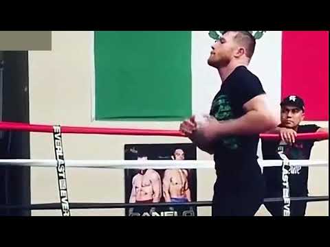 canelo alvarez bailando