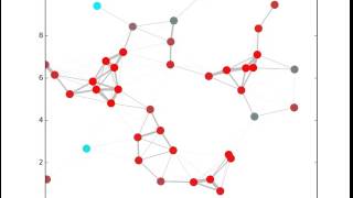 Discrete Virus Epidemic Equilibrium Simulation