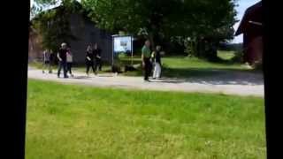 12  Tibet Terrier Treffen 2014