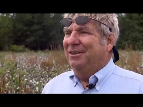 The 700 Club - October 5, 2016