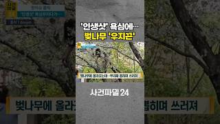 [사건파일24] 