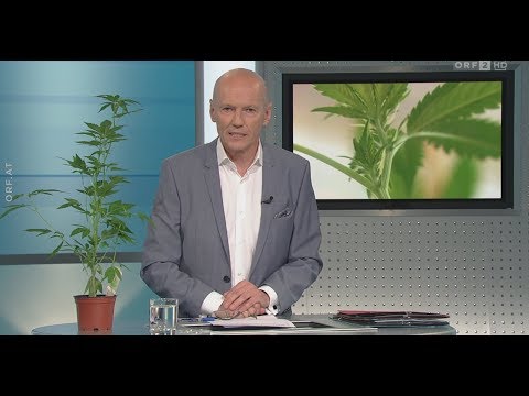 Schmerzmedikamente mit Cannabis - Krankenkassen verweigern Bezahlung - ORF Bürgeranwalt