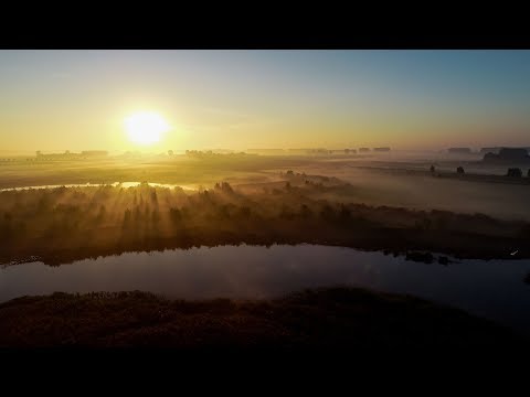 Terneuzen ontwaakt onder ochtendmist