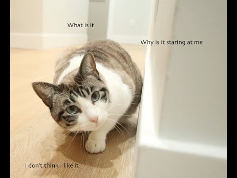 Zully Isn't So Sure About The Camera