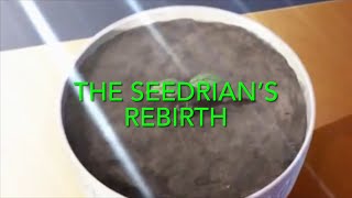 Sonic and Friends: The Seedrian’s Rebirth