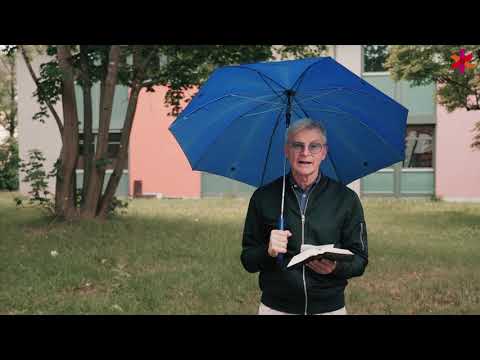 ANgeDACHT - Beschirmt