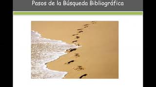 Búsquedas Bibliográficas