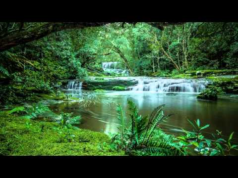 Daniil Shafran - Franck - Violin Sonata in A major