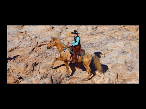 Sure-Footed Palomino Kentucky Mountain Gelding - Gaited/Trail/Mounted Shooting