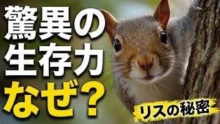 [動物] - リスの知られざる4つの秘密！小さな体に隠された驚異の生存能力