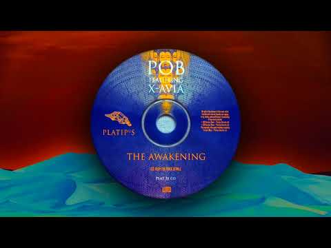 POB feat. X-Avia - The Awakening (Seismix)