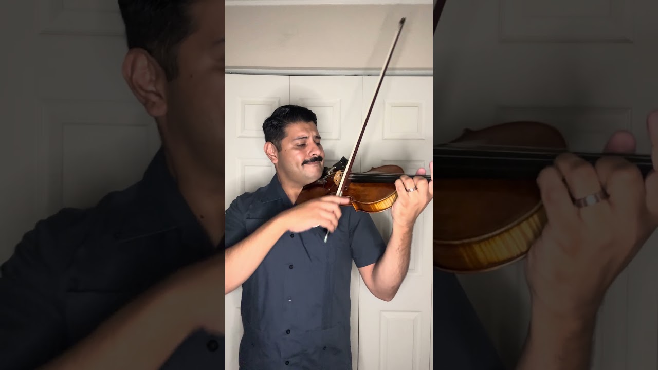 Promotional video thumbnail 3 for Adrian Grijalva — Solo Violin & Vocals