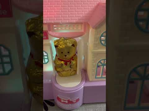 Oh Dear😅????Teddy Lindt stock in #playhouse #dog #youtubeshorts #ytshorts #viral #yt #chocolate