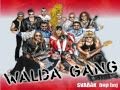 Walda Gang Hudsonské Šifi 