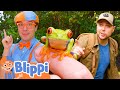 Blippi S Adventure With Brave Wilderness BEST OF BLIPPI TOYS Educational Videos For Kids