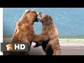 Grizzly Man (5/9) Movie CLIP - Bear Fight (2005) HD