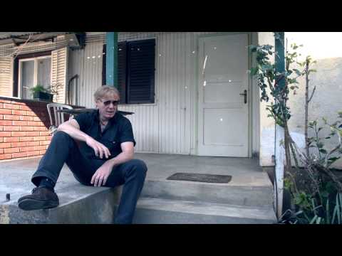 Pino   Suze dalmatinske