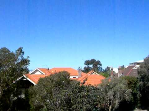 Last Day in Sydney (Australian Digeridoo vs Italian Digeridoo)