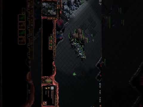 swarm host  v zealot #shorts