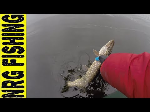 662ML 4-18 грамм