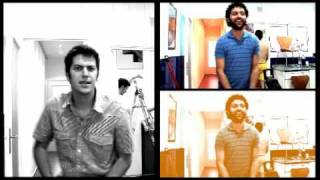 Els Amics de les Arts - A vegades (2008)