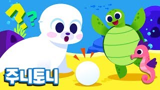누구의 알일까 | 알을 낳는 동물 누굴까요? | 해마, 가재, 고래, 바다거북 | 바다동물동요 |  주니토니 by 키즈캐슬