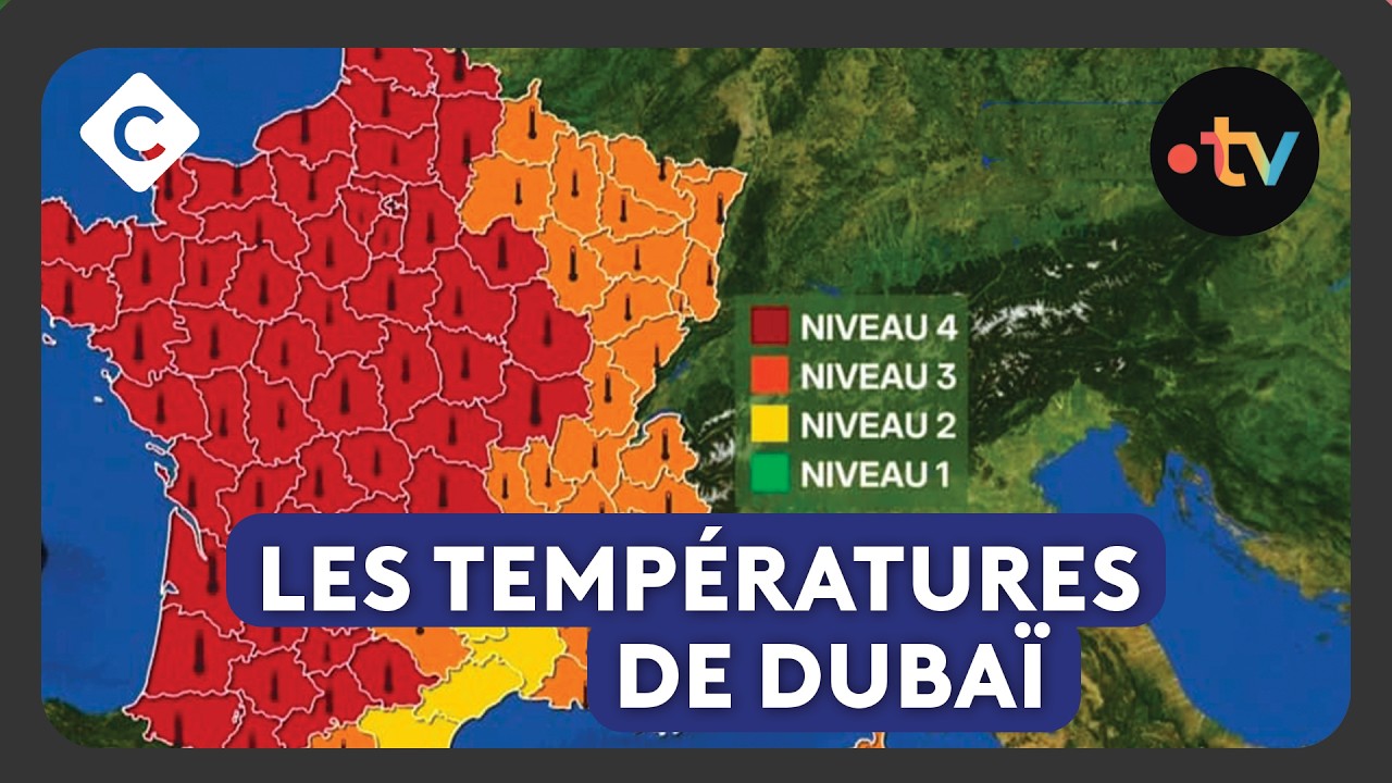 Canicule : la France plus chaude que 99% de la planète