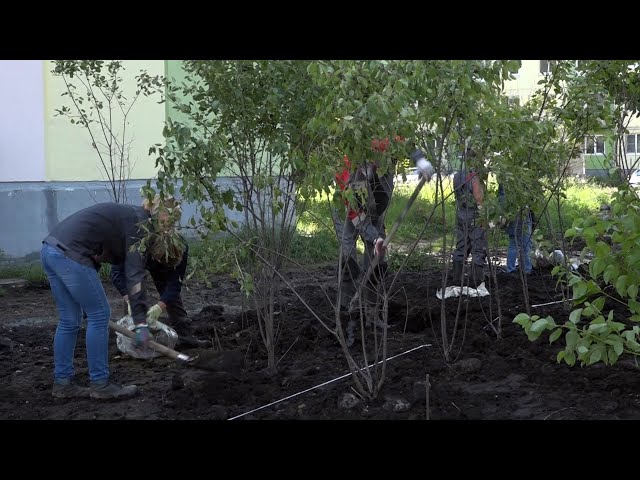 В 91 квартале высадили цветы