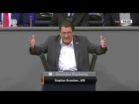 Stephan Brandner Rede vom 12.12.2019 - Publizistische Vielfalt