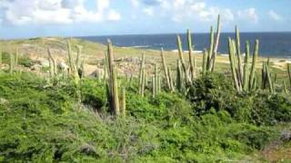 preview picture of video 'Aruba Horseback Ocean View'