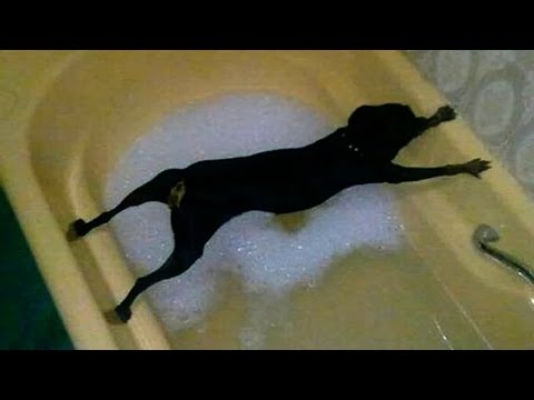 Alle inclinazioni apparire il mal di schiena Ginocchio sinistro sintomi articolari