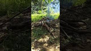 preview picture of video 'Wisata Kebun Durian SUMBER WARIS : ayam panggang - Nigarata holiday'