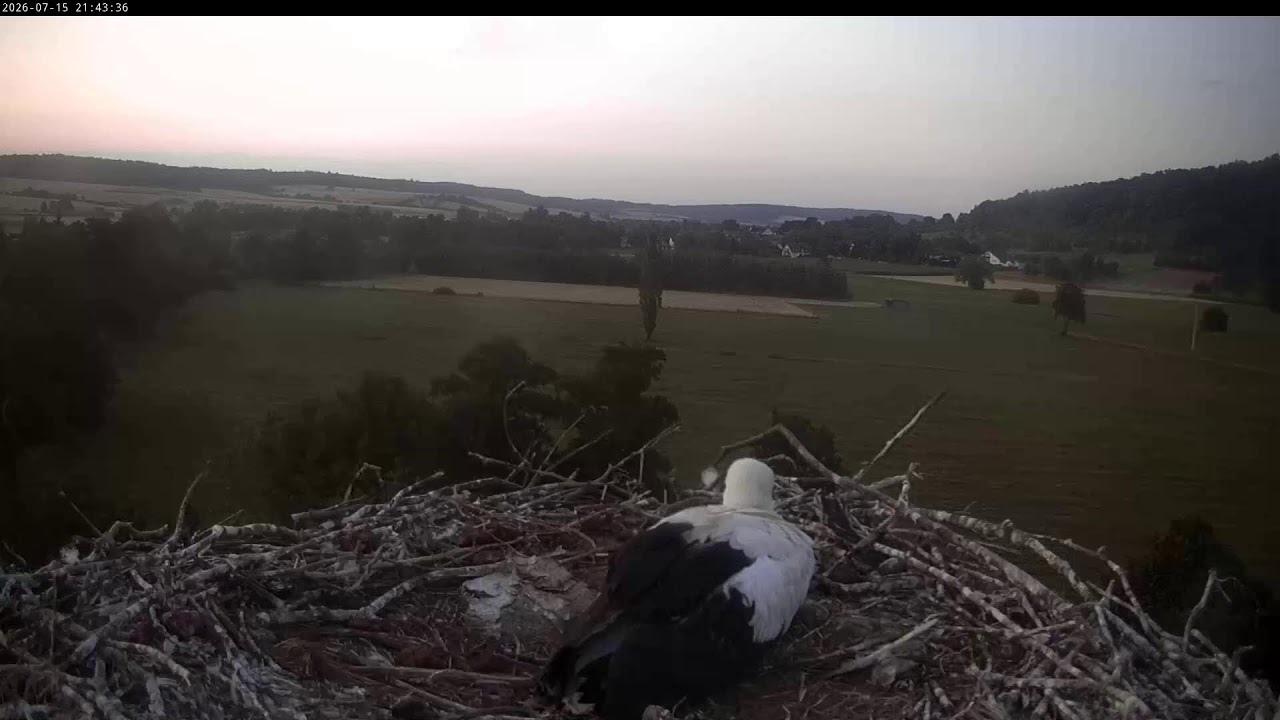 Live webcam view of Storchennest Lindheim Live Cam