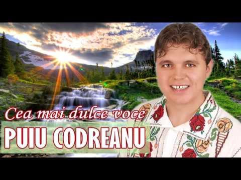 PUIU CODREANU COLAJ MUZICA POPULARA