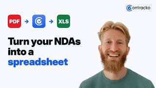 Convert NDAs to Excel and CSV with AI