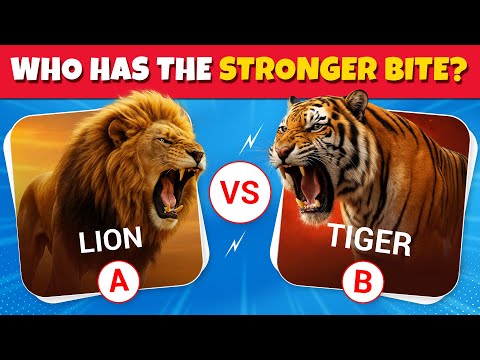 Which Animal Has a Stronger Bite? 🔥 Bite Force Challenge!
