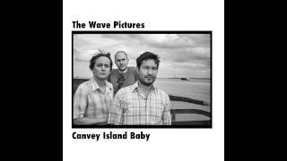 The Wave Pictures - Down by the Waterside