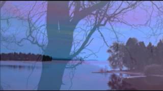 Deep Purple Music Video