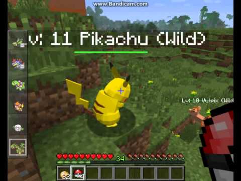 Pixelmon Gold and Redstone: Episode 14- levels n stuff