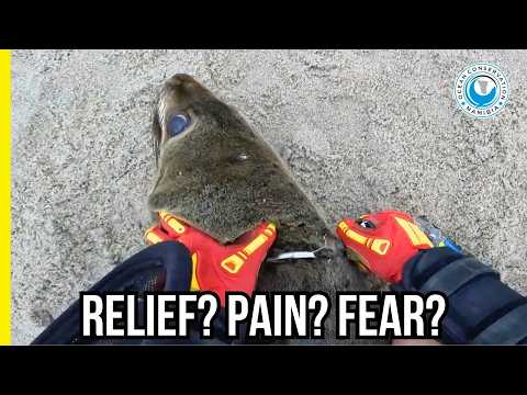 The Moment of Freedom – Do They Feel It?