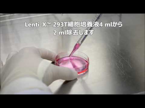 IUCN分類における絶滅の危険性を示す図。